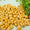 Flavoured Makhana